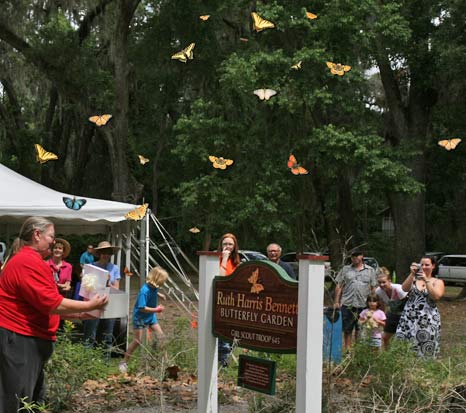 Release of the Butterflies at the Bartram Bash