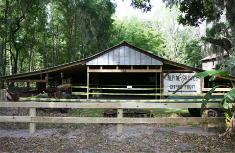 Alpine Groves Barn